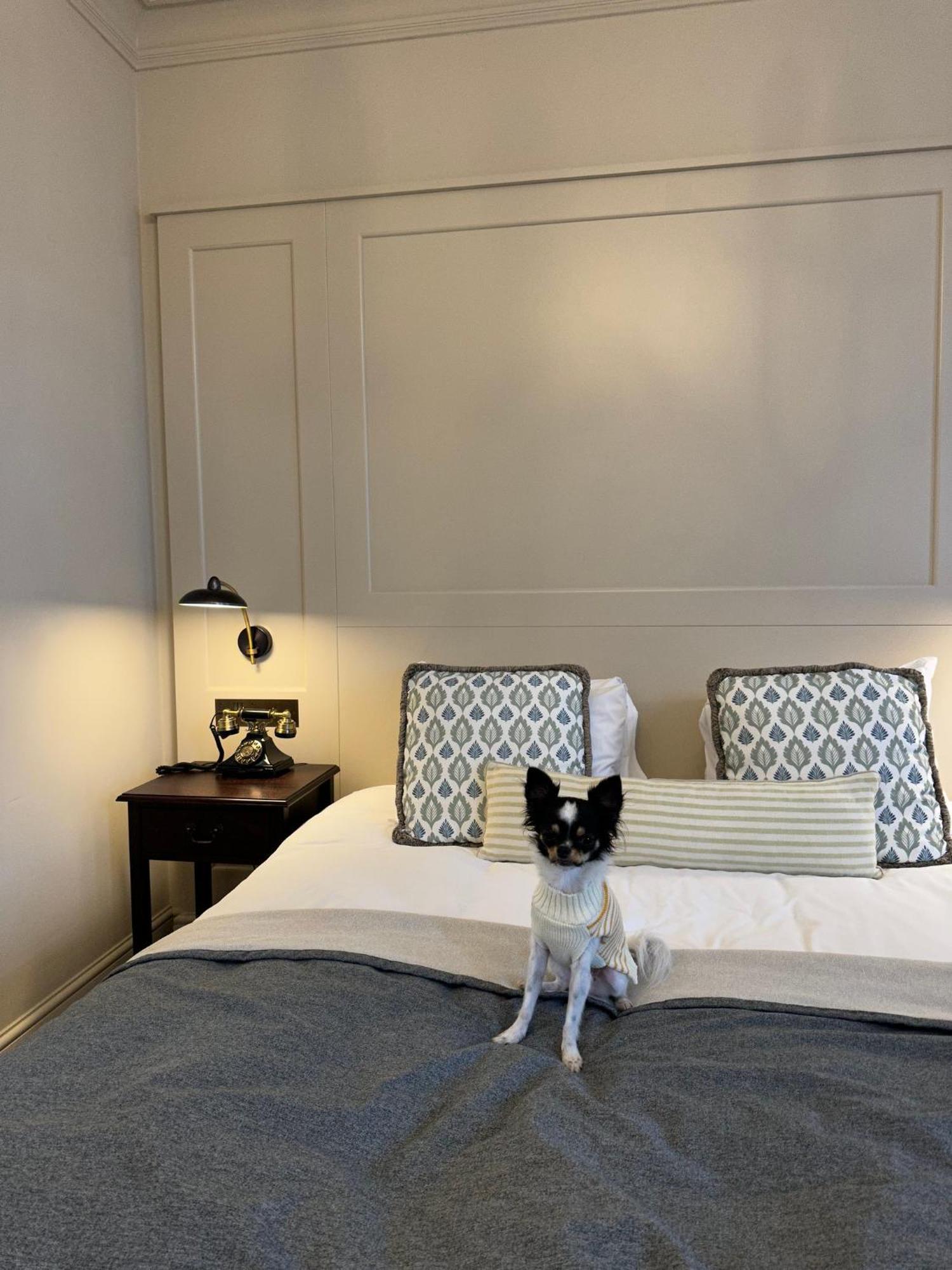 Отель Richmond Hill 4*