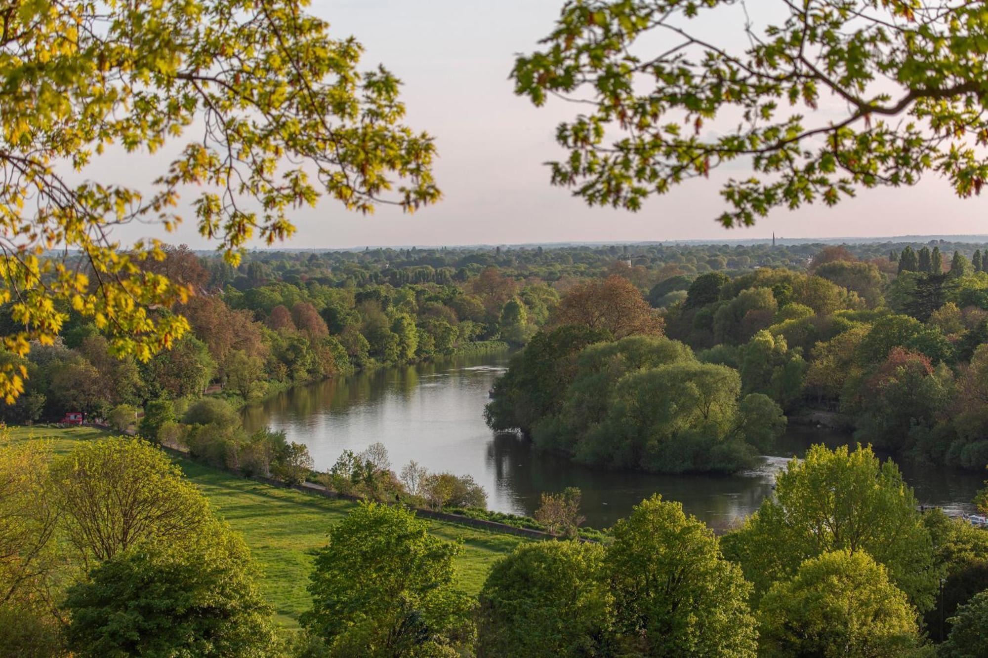 Отель Richmond Hill