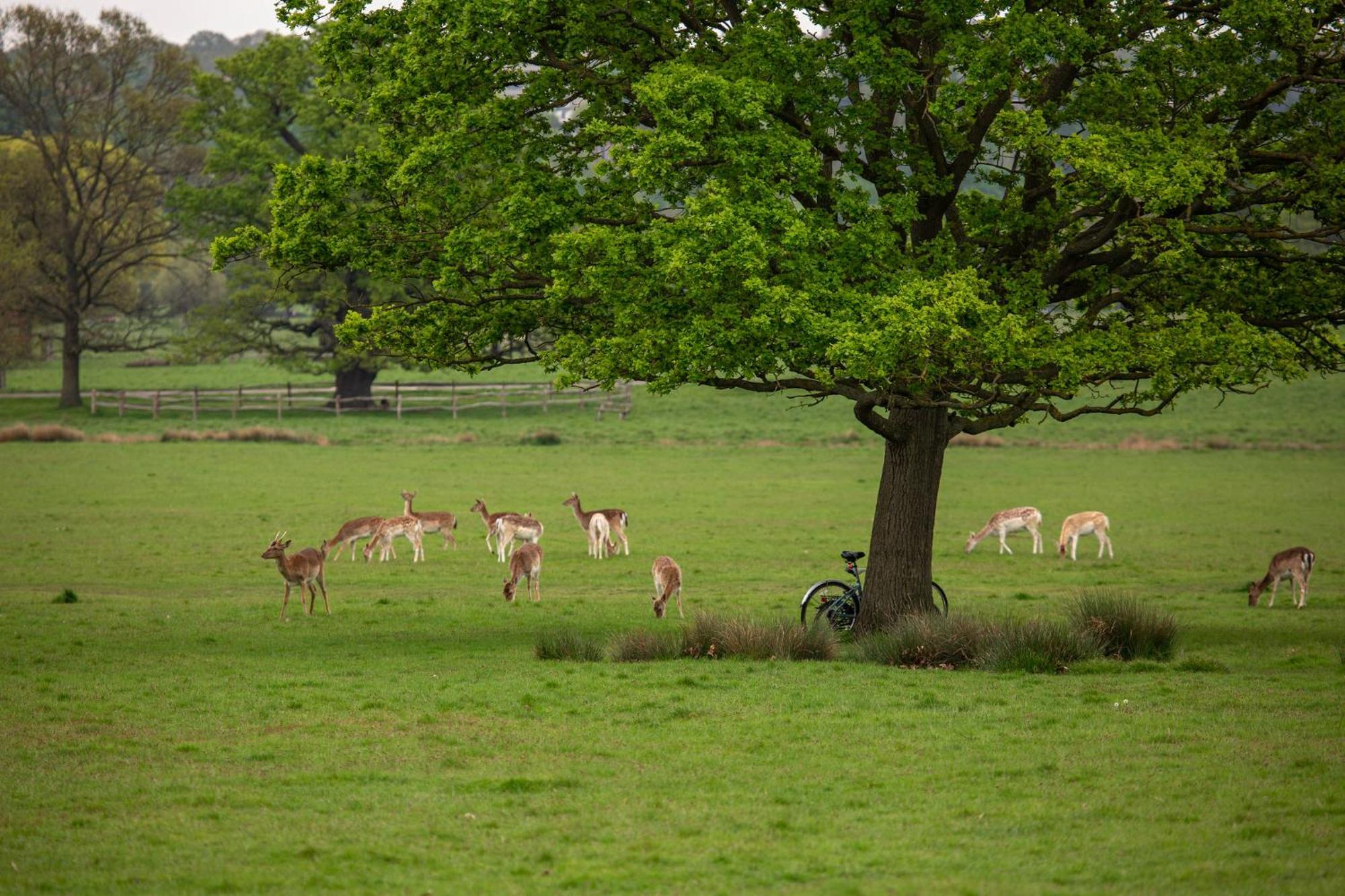 Отель Richmond Hill 4*